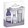 Lavender body care kit