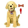 Puppy doll